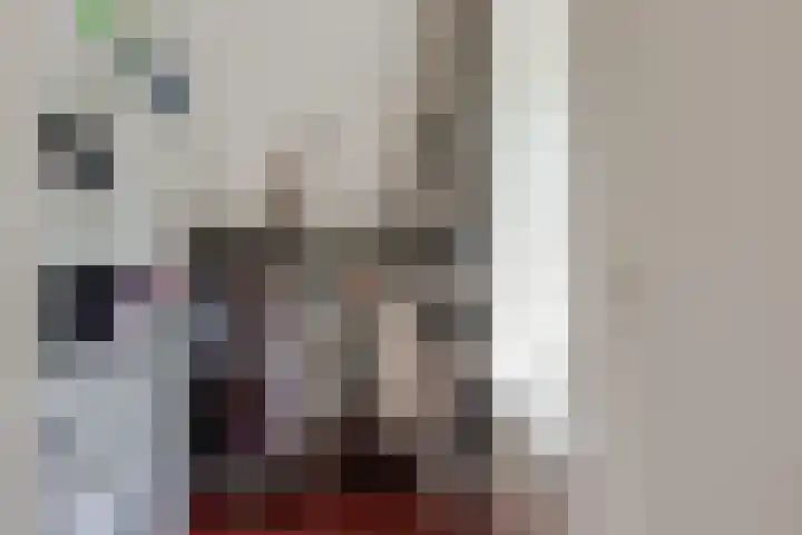 Beukenlaan 221 Bleiswijk thumbnail 37