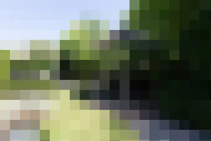 Beukenlaan 221 Bleiswijk thumbnail 39