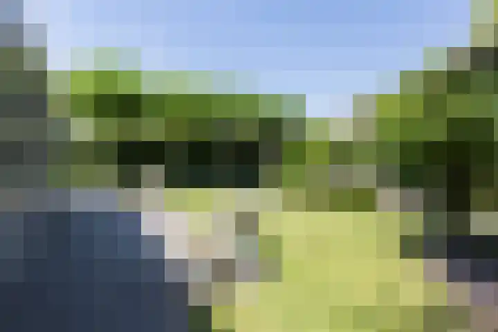 Beukenlaan 221 Bleiswijk thumbnail 40