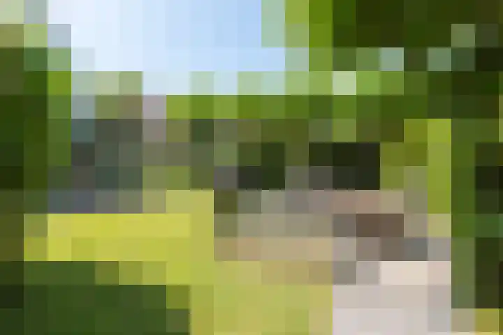 Beukenlaan 221 Bleiswijk thumbnail 41
