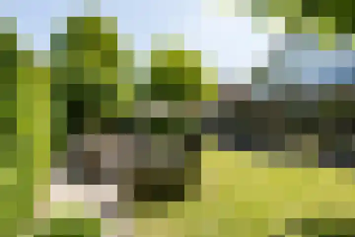 Beukenlaan 221 Bleiswijk thumbnail 42