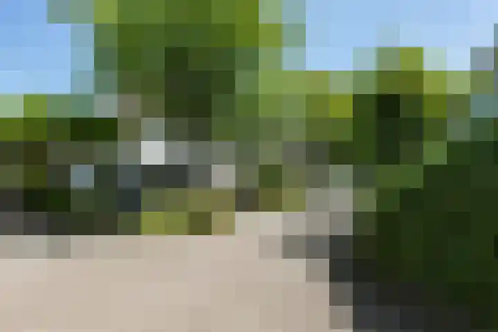Beukenlaan 221 Bleiswijk thumbnail 5