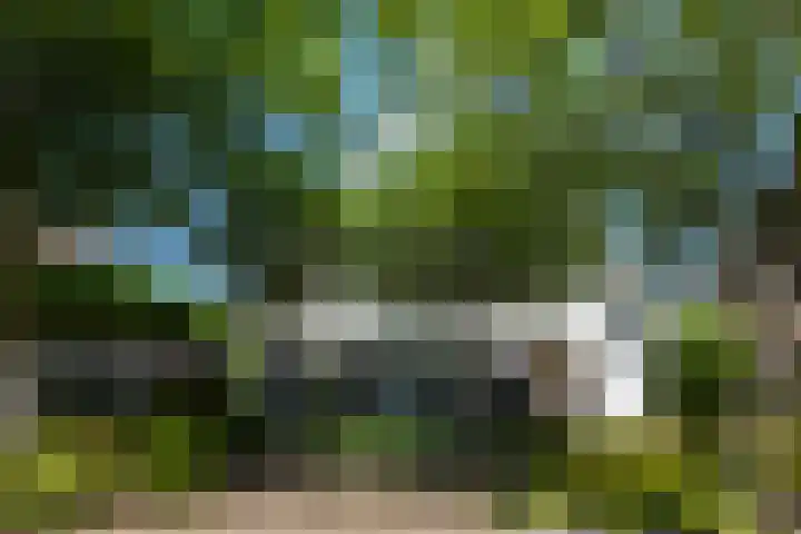 Beukenlaan 221 Bleiswijk thumbnail 7