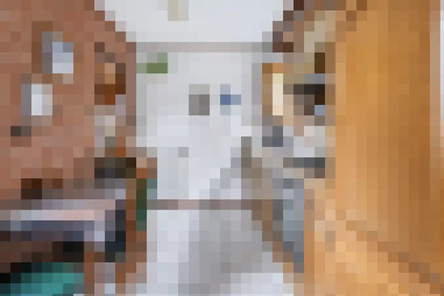 Beukenlaan 23 Bosschenhoofd thumbnail 12