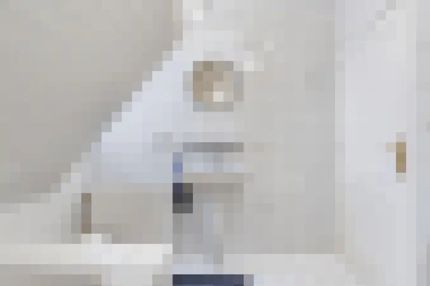 Beukenlaan 23 Bosschenhoofd thumbnail 22