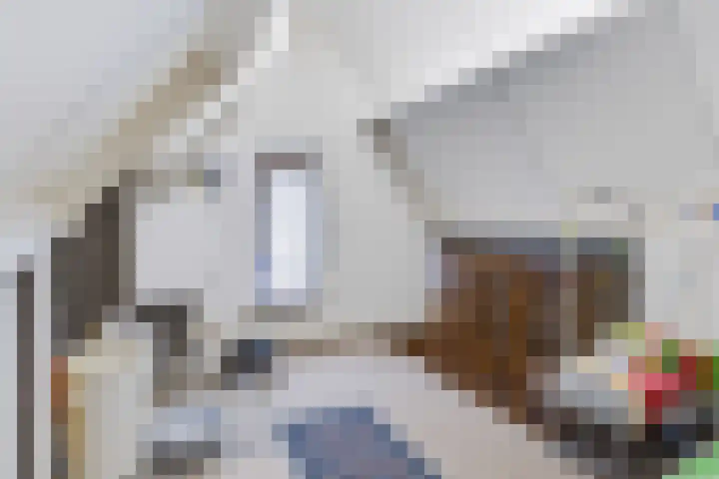 Beukenlaan 23 Bosschenhoofd thumbnail 24