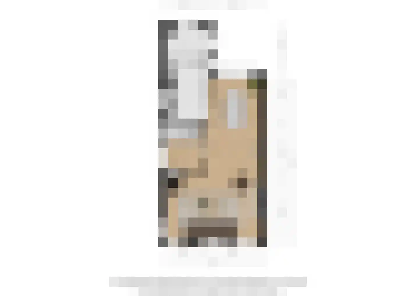 Beukenlaan 23 Bosschenhoofd thumbnail 36