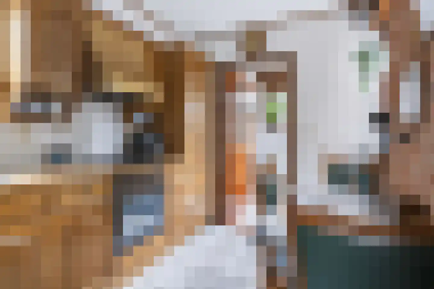 Beukenlaan 23 Bosschenhoofd thumbnail 5