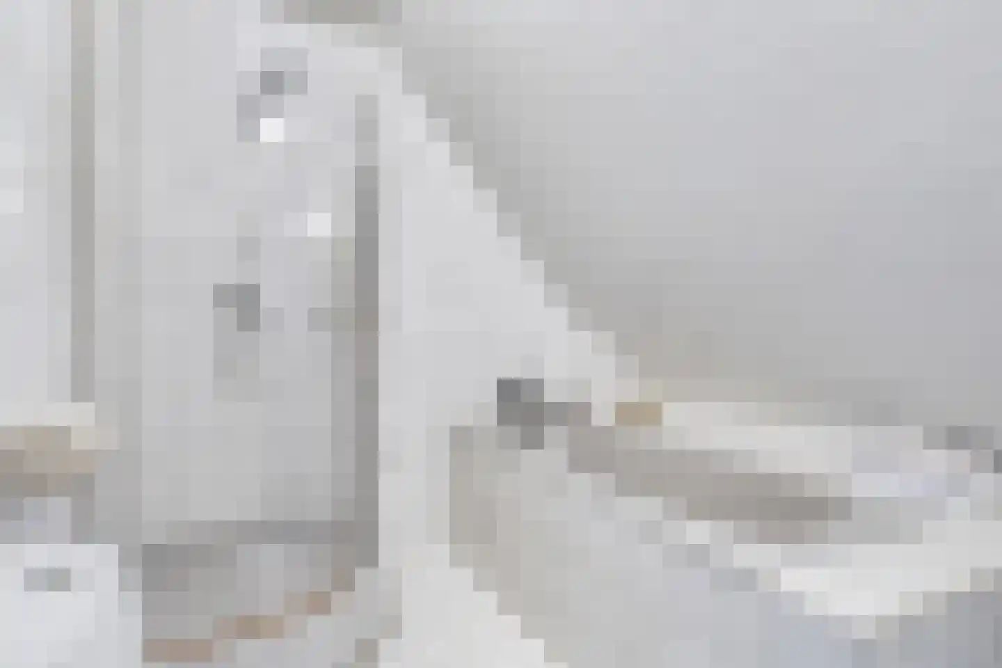 Beukenlaan 23 Bosschenhoofd thumbnail 7