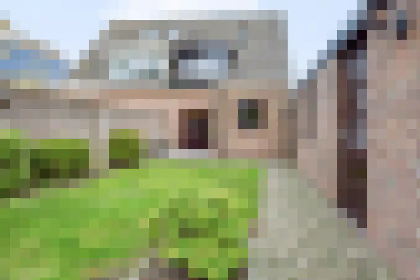 Beukenlaan 23 Bosschenhoofd thumbnail 8