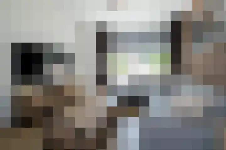 Beukenlaan 23 Geesbrug thumbnail 4