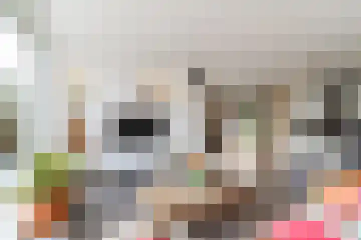 Beukenlaan 235 Bleiswijk thumbnail 14