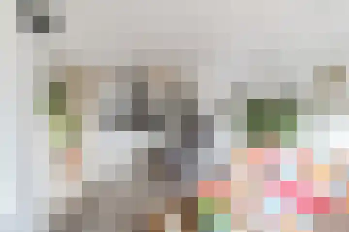Beukenlaan 235 Bleiswijk thumbnail 16