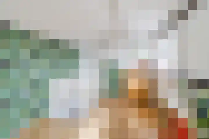 Beukenlaan 235 Bleiswijk thumbnail 35