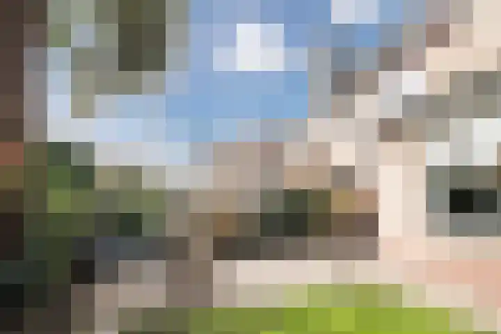 Beukenlaan 235 Bleiswijk thumbnail 40