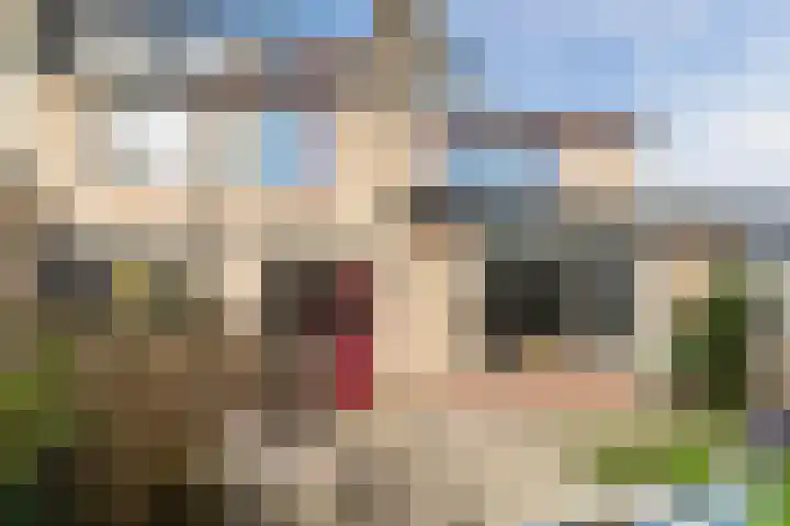 Beukenlaan 235 Bleiswijk thumbnail 42