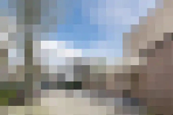 Beukenlaan 235 Bleiswijk thumbnail 44