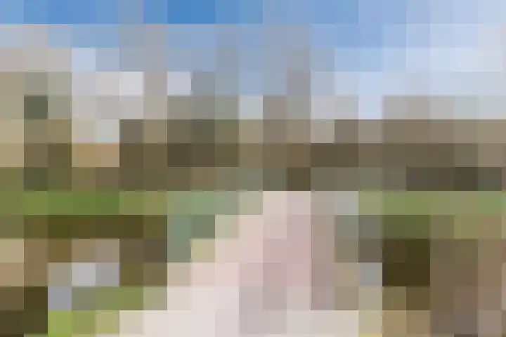 Beukenlaan 235 Bleiswijk thumbnail 46