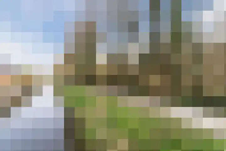 Beukenlaan 235 Bleiswijk thumbnail 47