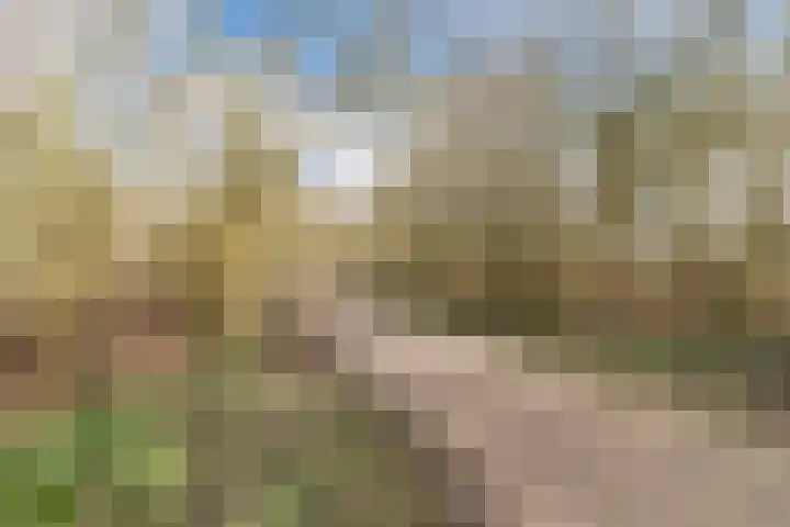 Beukenlaan 235 Bleiswijk thumbnail 49