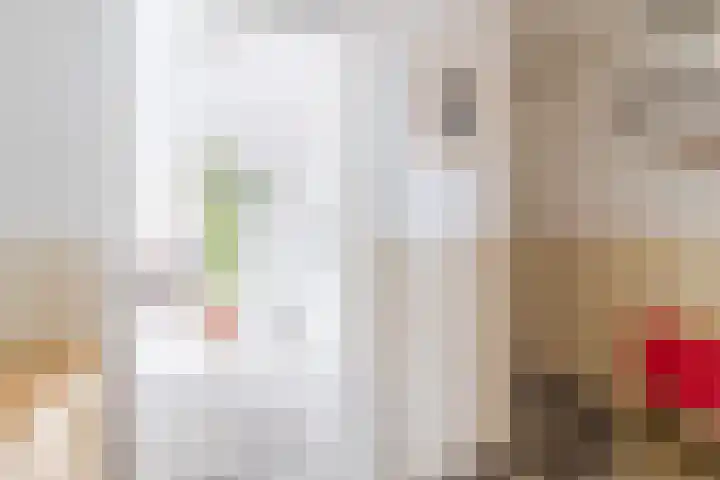 Beukenlaan 235 Bleiswijk thumbnail 8