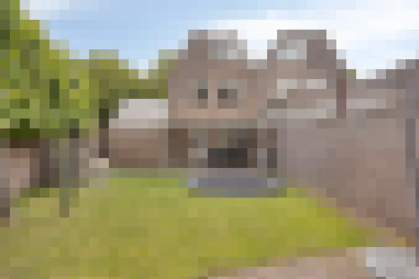 Beukenlaan 24 Beek en Donk thumbnail 19