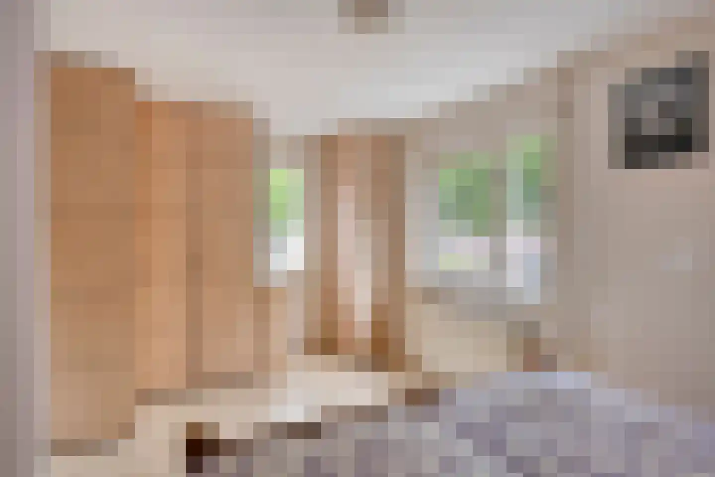 Beukenlaan 24 Beek en Donk thumbnail 28
