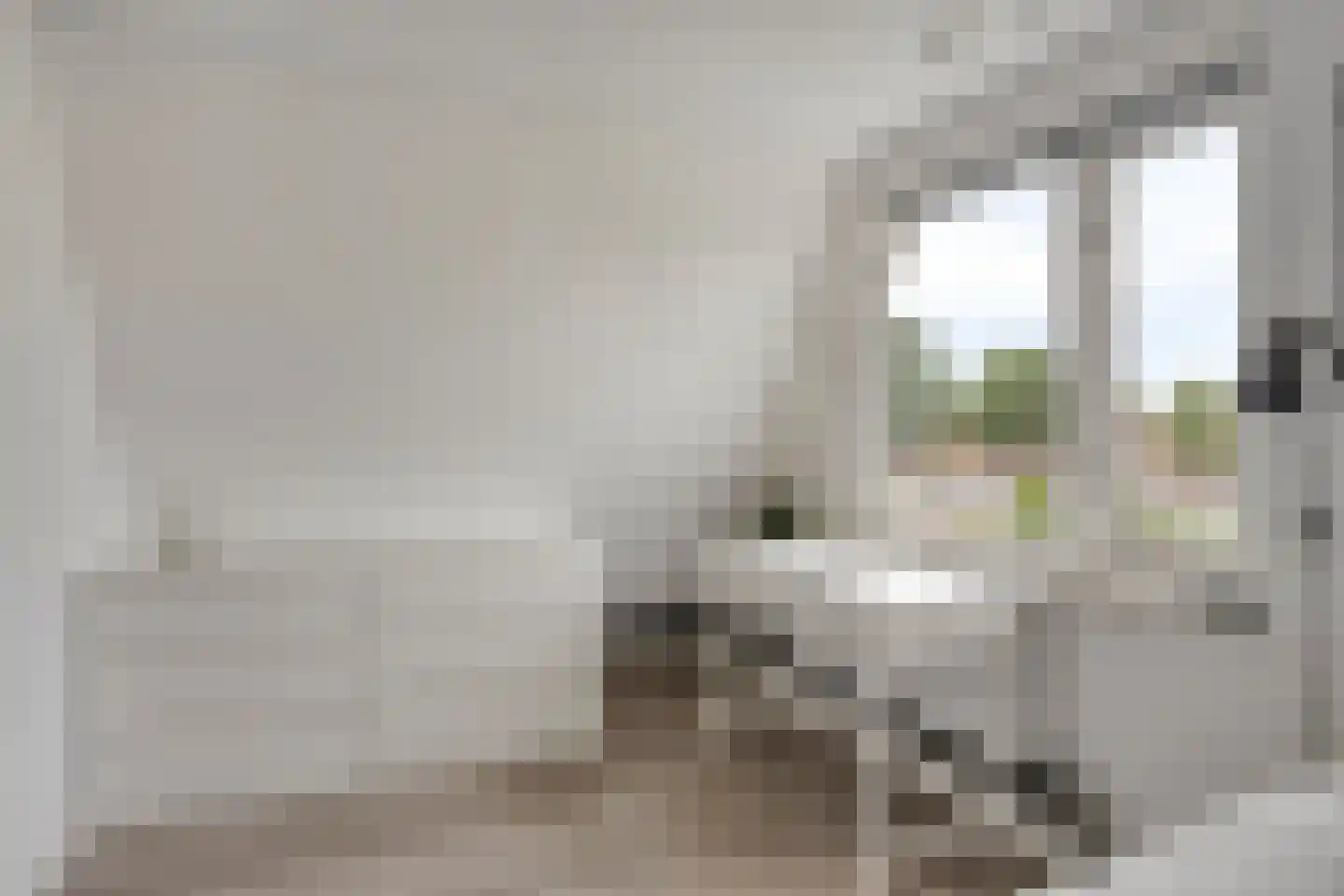 Beukenlaan 24 Beek en Donk thumbnail 38