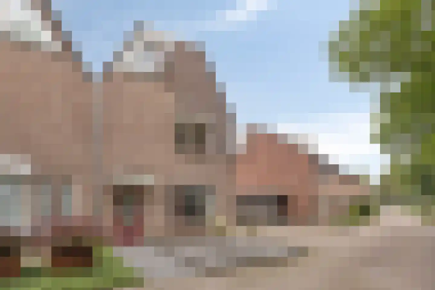 Beukenlaan 24 Beek en Donk thumbnail 39