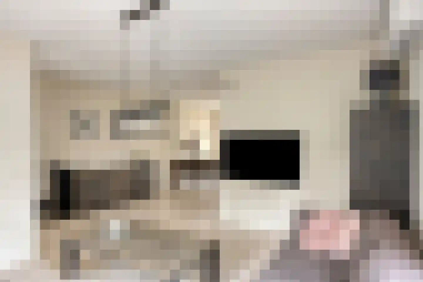 Beukenlaan 24 Beek en Donk thumbnail 5