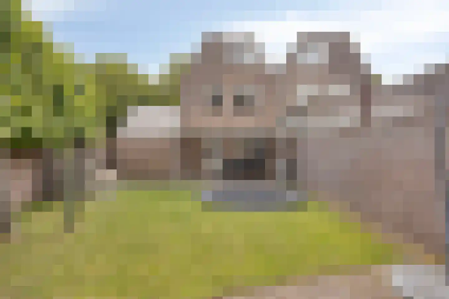 Beukenlaan 24 Beek en Donk thumbnail 7