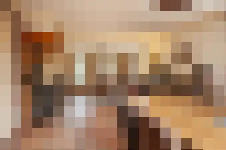 Beukenlaan 24 Sprang-Capelle thumbnail 12