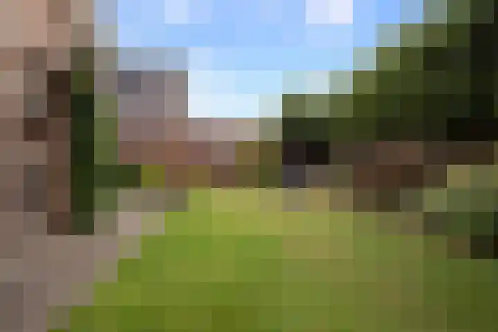 Beukenlaan 24 Sprang-Capelle thumbnail 15