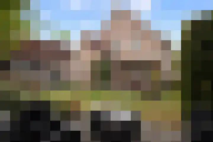 Beukenlaan 24 Sprang-Capelle thumbnail 17
