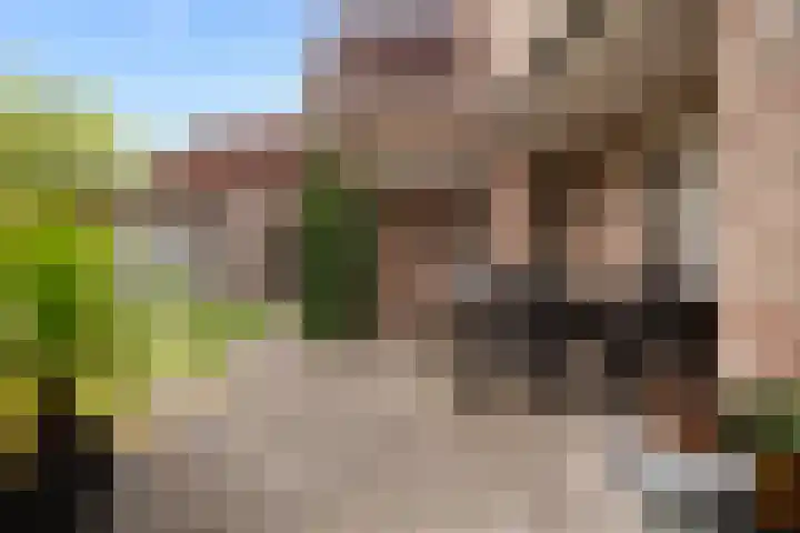 Beukenlaan 24 Sprang-Capelle thumbnail 18