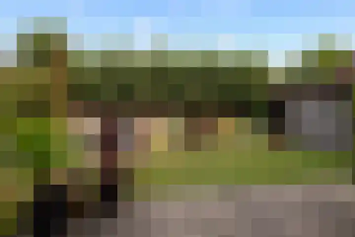Beukenlaan 24 Sprang-Capelle thumbnail 19