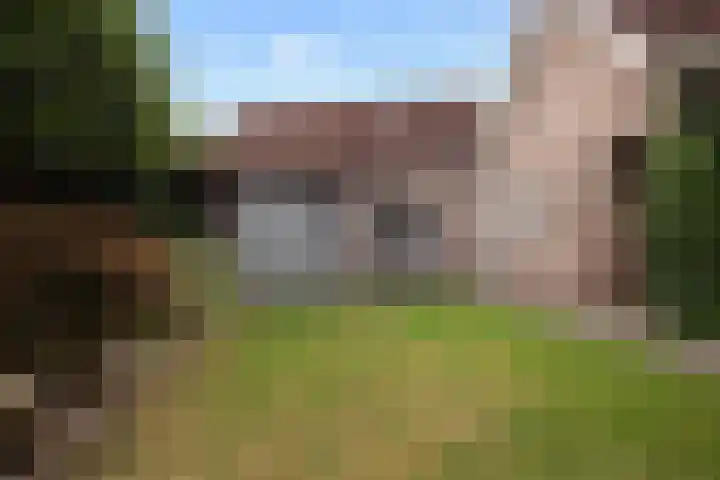 Beukenlaan 24 Sprang-Capelle thumbnail 20
