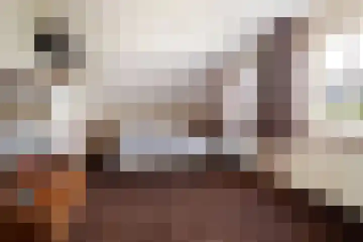 Beukenlaan 24 Sprang-Capelle thumbnail 25