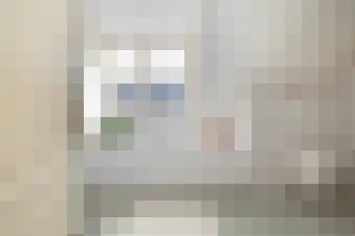 Beukenlaan 24 Sprang-Capelle thumbnail 27