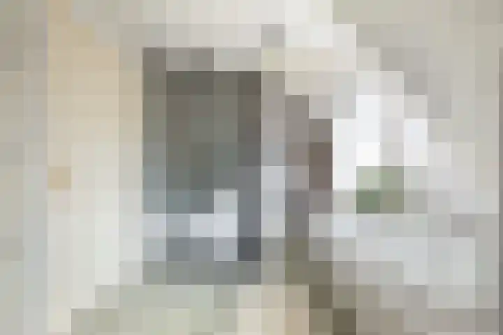 Beukenlaan 24 Sprang-Capelle thumbnail 28