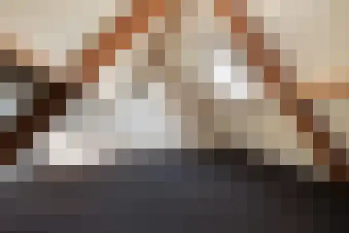 Beukenlaan 24 Sprang-Capelle thumbnail 30