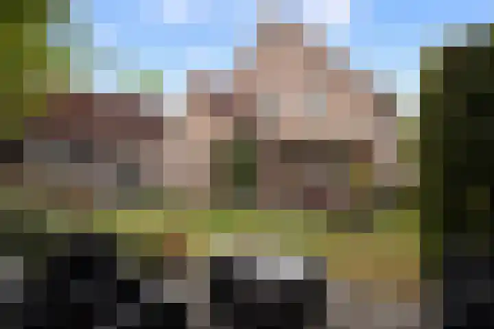 Beukenlaan 24 Sprang-Capelle thumbnail 4