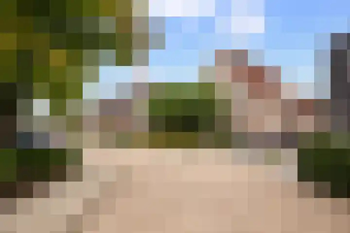 Beukenlaan 24 Sprang-Capelle thumbnail 6