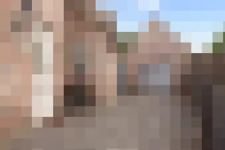 Beukenlaan 24 Sprang-Capelle thumbnail 7