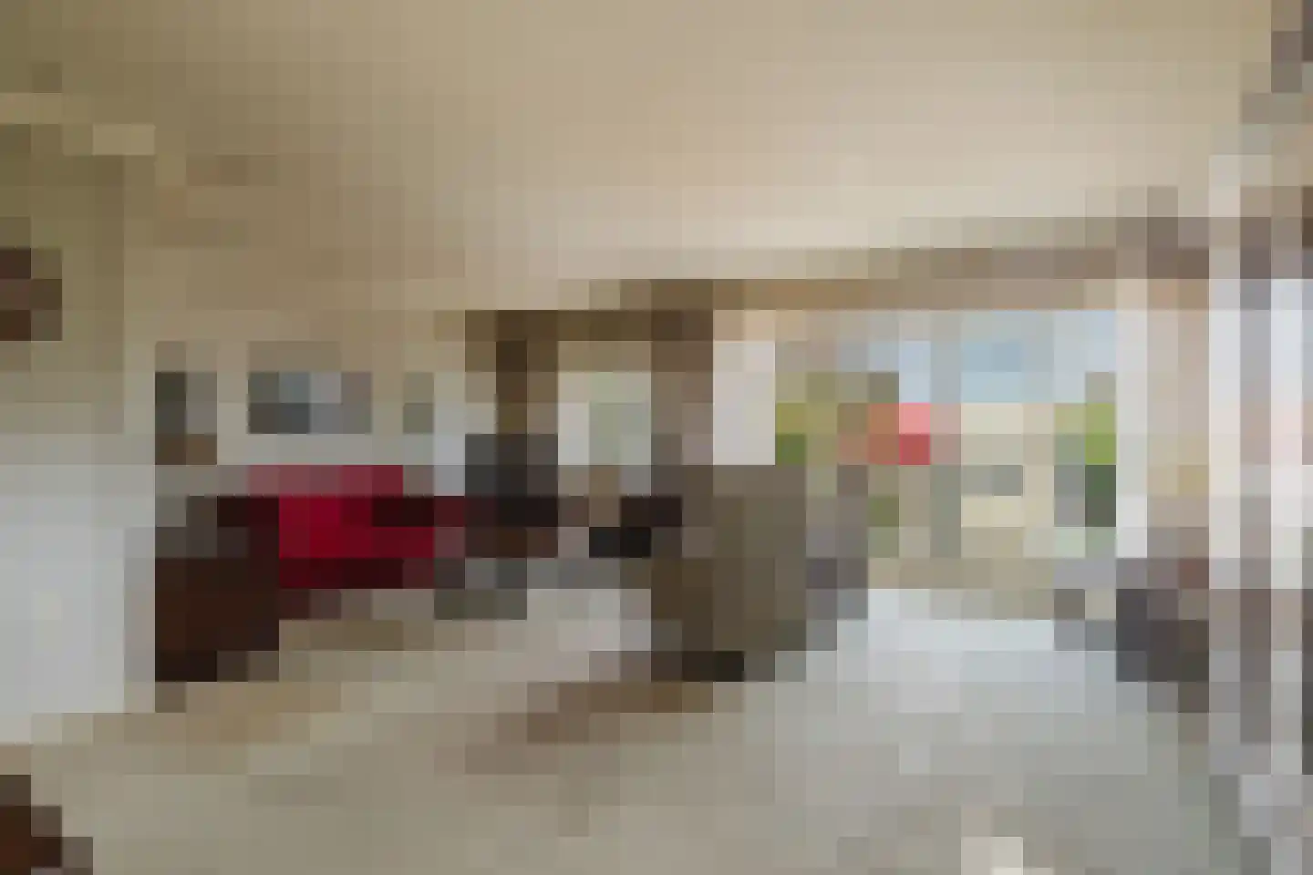 Beukenlaan 24 Zundert thumbnail 15
