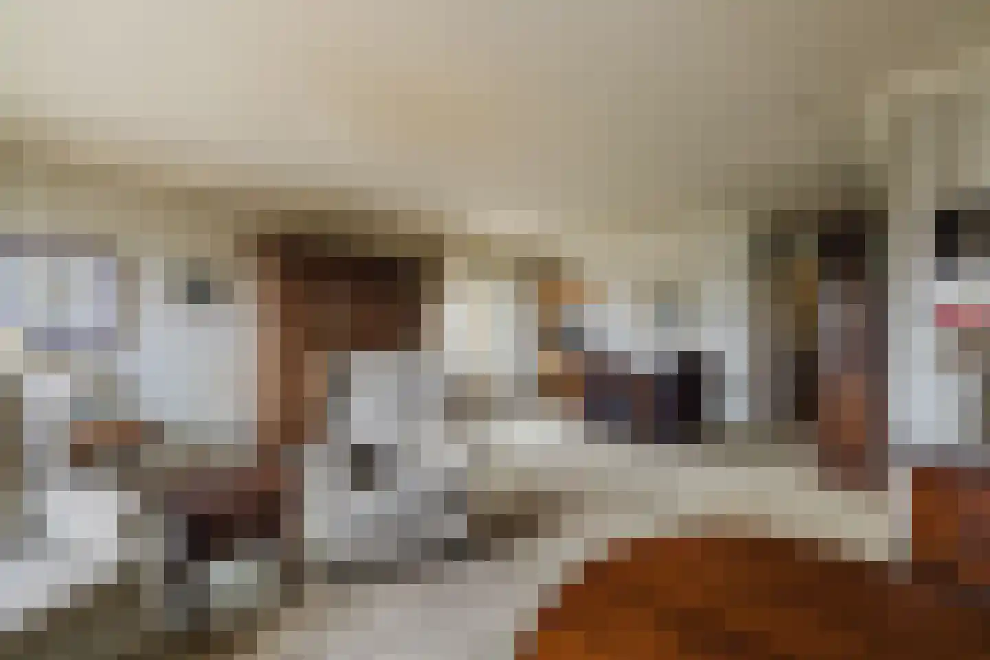 Beukenlaan 24 Zundert thumbnail 18
