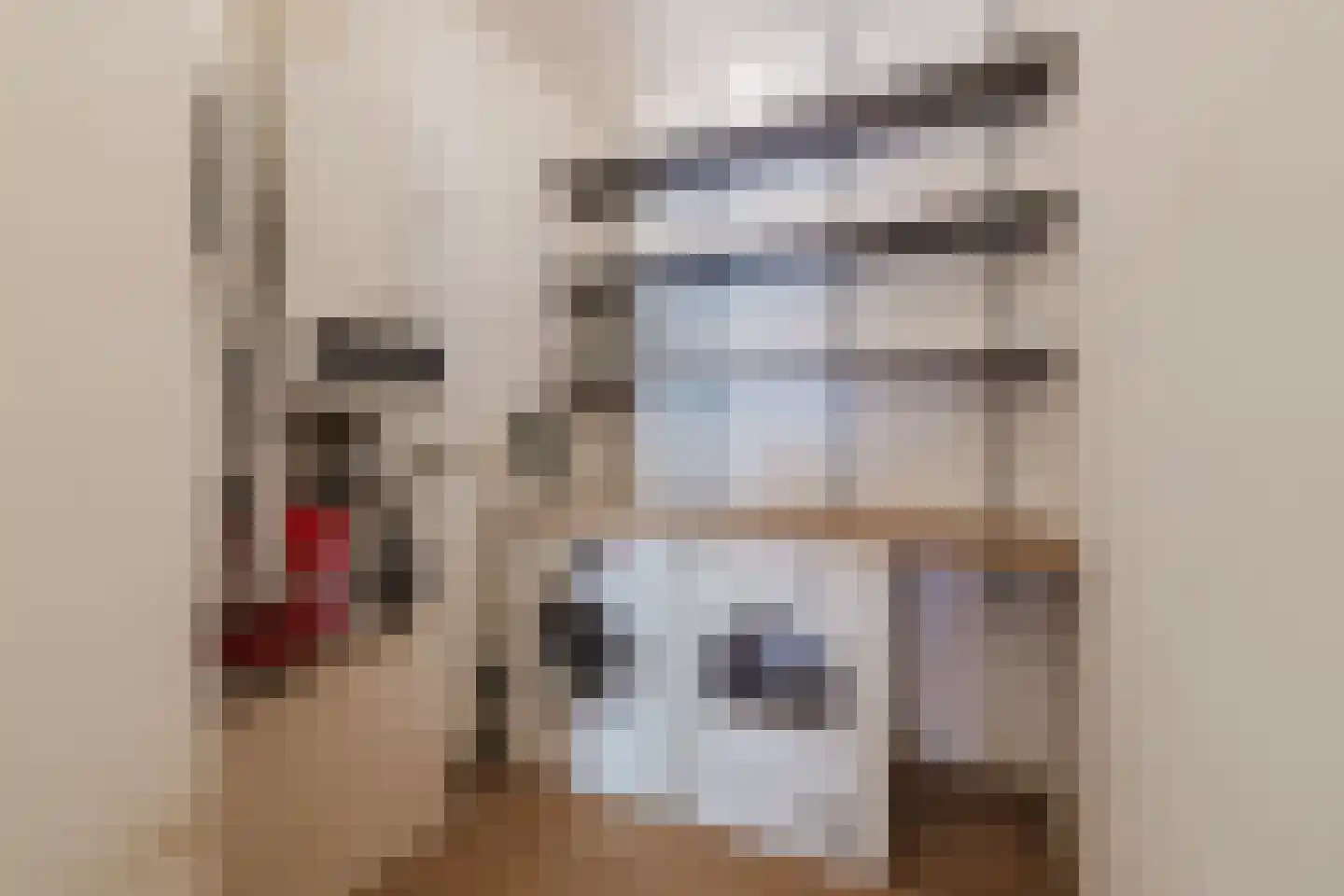 Beukenlaan 24 Zundert thumbnail 35