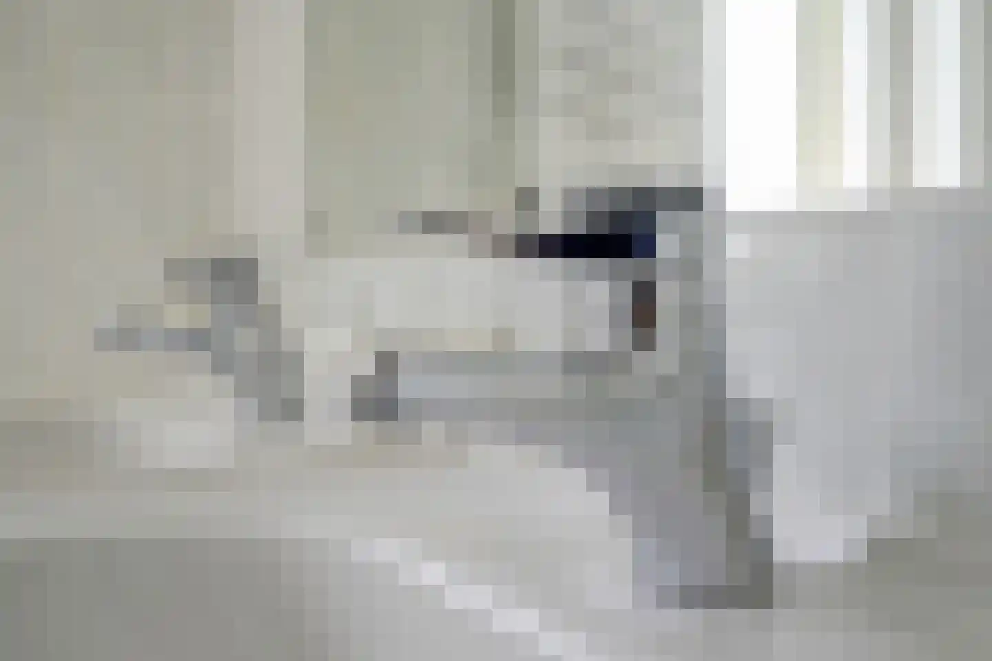 Beukenlaan 247 Bleiswijk thumbnail 24