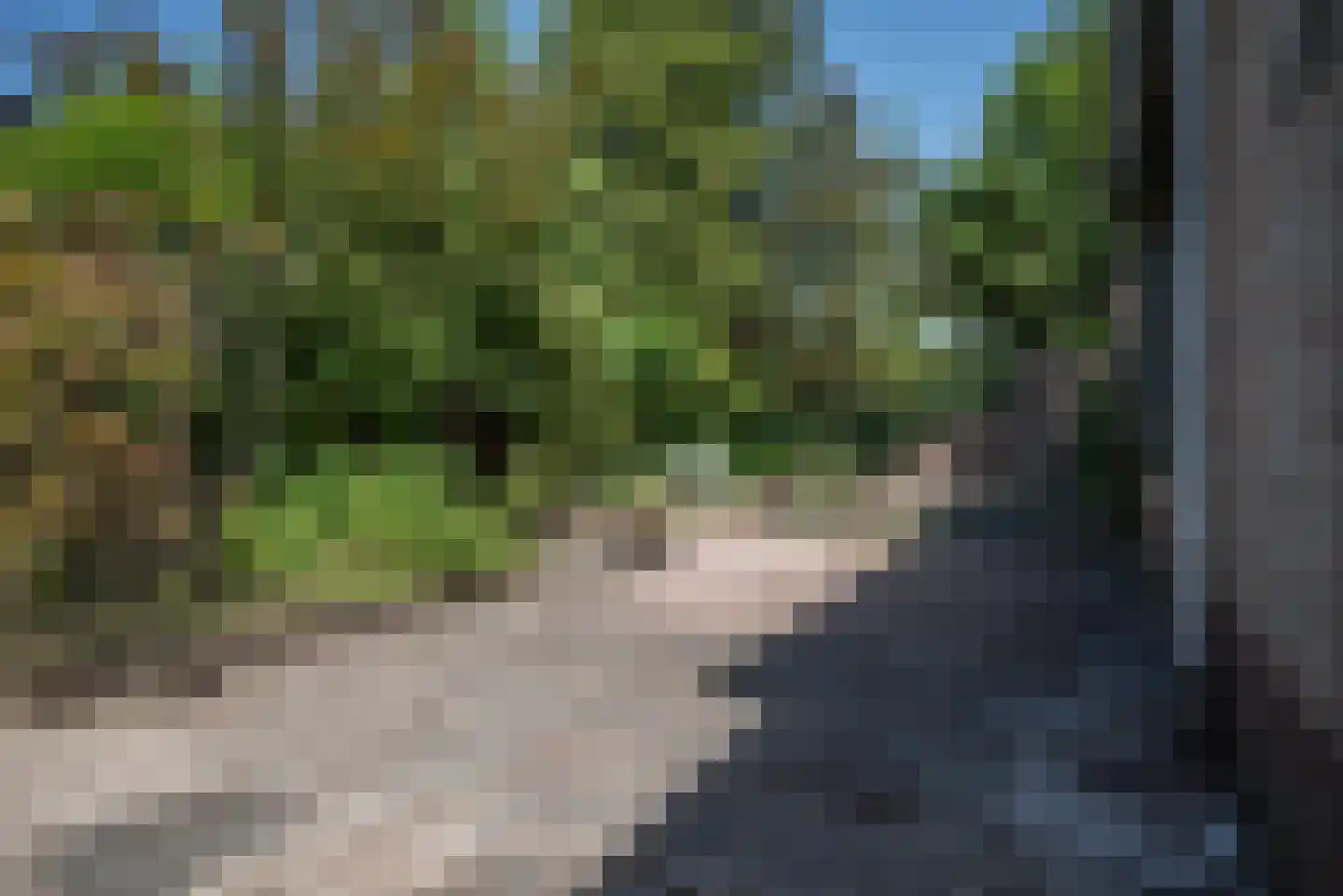 Beukenlaan 247 Bleiswijk thumbnail 37