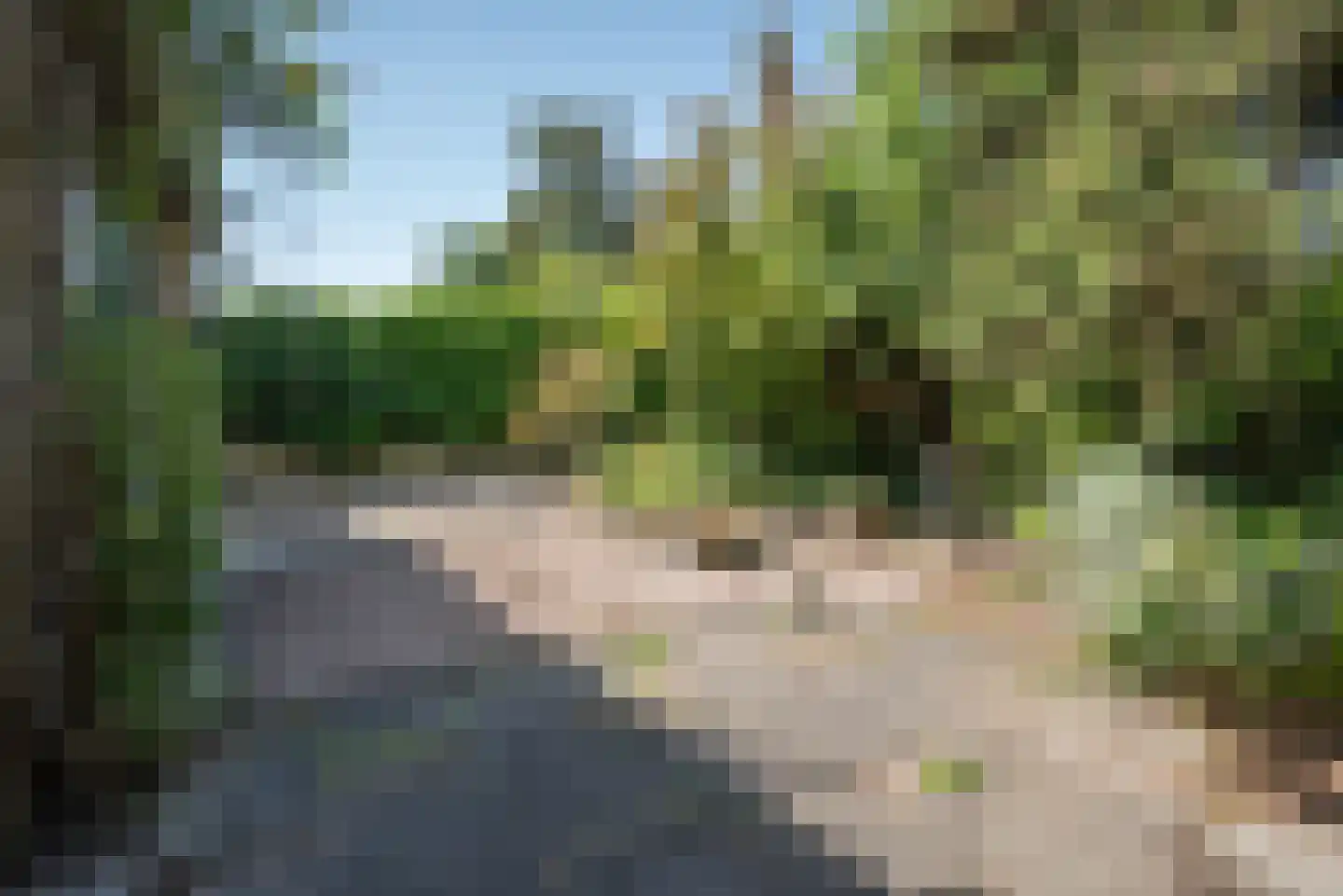 Beukenlaan 247 Bleiswijk thumbnail 38